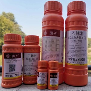 国光40%乙烯利催熟剂棉花香蕉芒果番茄柿子催熟生长调节剂农药