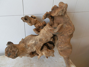 陈化老料槐木树根 创意枯木料树桩根料 朽木腐木装饰树根 包邮