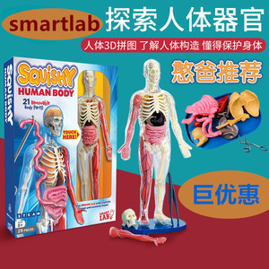 smartlab人体解剖模型儿童玩具人体器官内脏大脑结构模型骨骼解刨