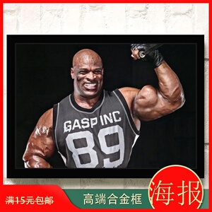 罗尼库尔曼海报