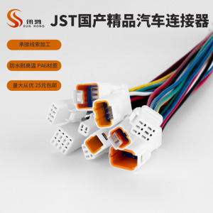 JST接插件微小型0.3平方线束汽车防水连接器2P3P4P6P8P孔公母插头