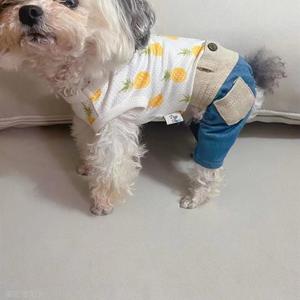 哆基朴水果拼接牛仔宠物狗狗衣服裙子裤子小型犬夏装春秋装