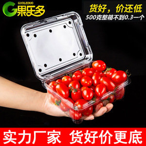 一次性水果包装盒一斤装透明塑料盒水果店500M带盖西瓜草莓打包盒