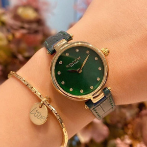 正品代购coach/蔻驰手表女park系列小绿表时尚真皮女表欧美石英表