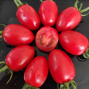 000人付款淘宝圣女果西红柿新鲜果蔬粉贝贝小番茄自然熟甜薄皮陕西