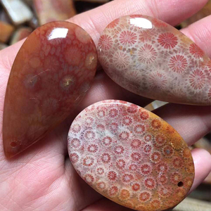天然珊瑚玉精品彩花 立体花素牌 无美颜滤镜拍摄 直播间可挑选
