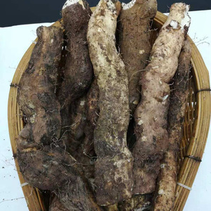 四川特产峨眉山野生山药深山千担苕非铁棍山药500克/份