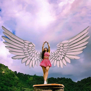 巴厘岛网红翅膀鸟巢户外秋千景区婚纱拍摄道具悬挂椅天使翅膀民宿