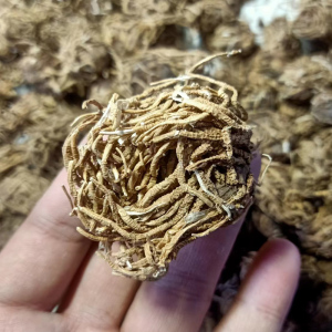头顶一颗珠