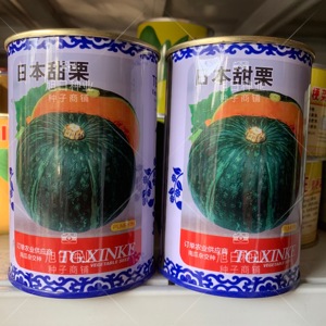 太谷日本甜栗南瓜种子谢花面窝瓜绿板栗味黑贝贝早熟蔬菜瓜果种籽