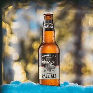 魔书啤酒鹿头精酿加拿大进口艾尔拉格350ml*24瓶整箱京东快递包邮