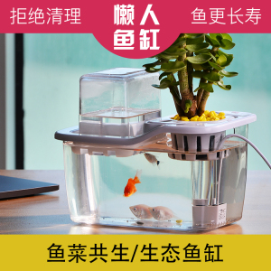 鱼缸套餐斗鱼小型装饰创意办公桌面懒人免换水生态鱼菜共生系统