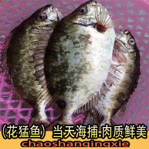 鲜海鱼花