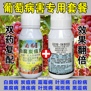 葡萄树专用药霜霉病