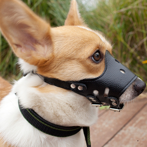 狗狗嘴套狗口罩 防叫防咬防乱吃 大中小型犬宠物泰迪柯基贵宾狗套