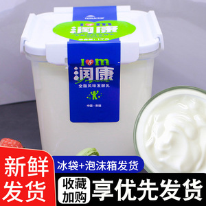 新疆天润酸奶润康方桶1kg装水果捞老酸奶网红牛奶酸奶润康方桶
