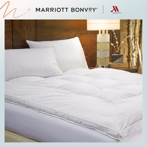 万豪酒店床褥透气五星级酒店加厚无羽绒护脊高支棉床垫保护垫秋季