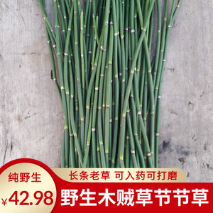 纯野生木贼新鲜晒干节骨草笔管草笔筒草节节草500克中草药可打磨