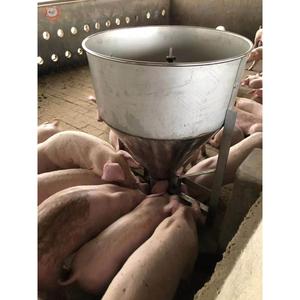 猪食槽养殖场不锈钢自动下料槽干湿两用养猪设备仔猪自由采食料槽