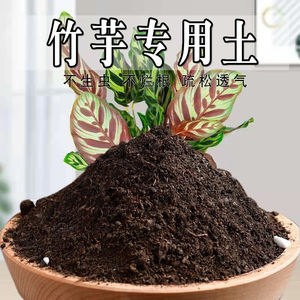 竹芋专用土孔雀竹芋专用营养土盆栽养花种花土通用种植土有机肥料