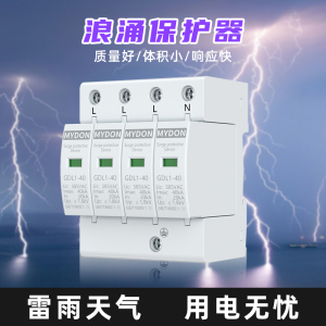 MYDON浪涌保护器 4P防雷保护器 家用220V 2P避雷器电涌开关光伏