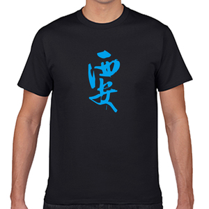 原创印花t恤 西安城市旅游纪念 西安旅游t恤圆领纯棉短袖男女通款