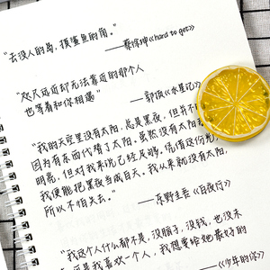 白昼记忆手写体练字帖本女生字体练字漂亮大学生楷书行楷钢笔硬笔书法