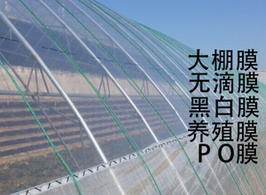 大棚膜蓝色无滴膜温室白色棚膜高透光棚膜防雨保温膜农用塑料薄膜