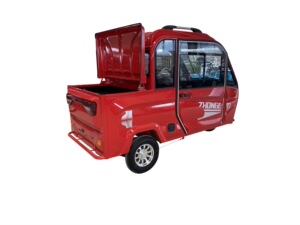 新国标电动三轮车接送孩子成人家用载货车双人四座可升级油电两用