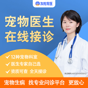 兔子宠物医生在线咨询