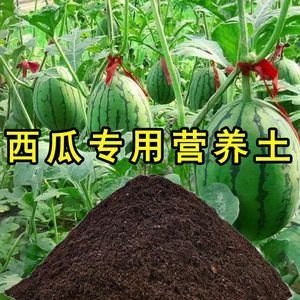 西瓜种植土营养土育苗土盆栽土西瓜苗土壤有机肥料通用型瓜果土壤