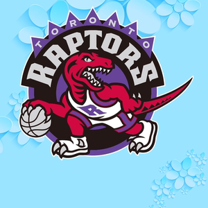 猛龙nba总冠军篮球球服logo贴画热转印球衣烫画贴球队队服定制贴