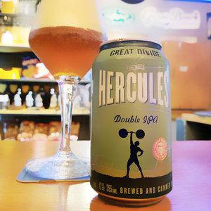 屋淘宝进口烈性啤酒橙色炸弹16度18度 高度烈性 orangeboom2人付款89