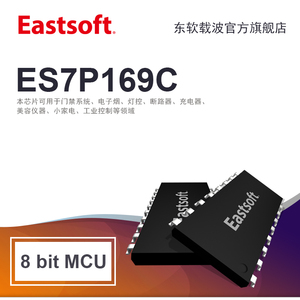 Eastsoft东软载波 ES7P169C 8位MCU芯片 8K Word FLASH程序存储器