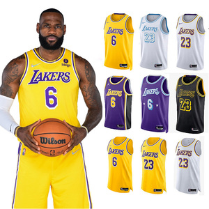 酷动城正品nike耐克nba湖人6号lbj詹姆斯球衣sw球迷版背心db3576