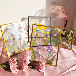创意DIY金属相框植物干花标本4寸6寸玻璃面板现代简约画框小摆件