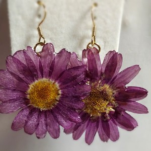 滴胶干花植物耳环格桑花真花耳钉永生花原创名族风特色耳钩小饰品