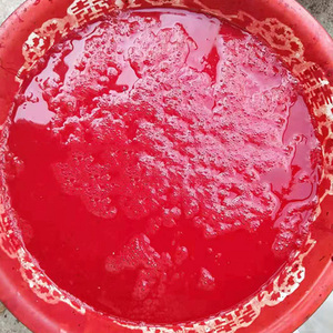 新鲜猪血纯猪血