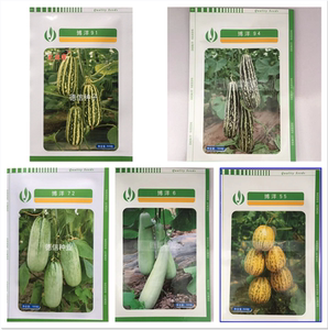 博洋91博洋72薄皮甜瓜黄绿花皮洋香瓜口感酥脆抗病高产羊角蜜种子
