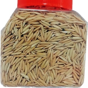 水稻种子猫牙玉针图片
