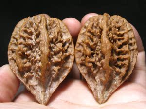 异形楸子文玩核桃东北野生楸子精品异型秋子龙骨编号s73