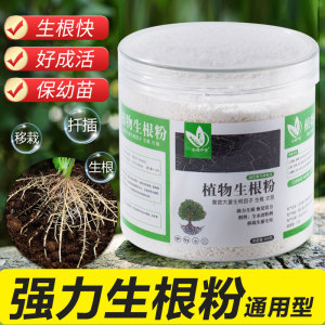 扦插生根水营养液植物通用型多肉壮苗强力生根剂t_1478838389179