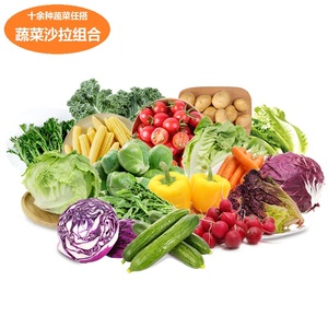 新鲜沙拉蔬菜套餐 即食生吃健身餐5斤混合生菜 共10种蔬菜 可搭配