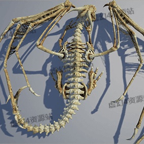 bones dragon骷髅骨头龙动画角色unreal虚幻5ue4 27