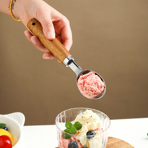 舍里不锈钢冰淇淋勺商用自融雪糕勺冰激凌水果挖球器吃瓜专用勺子