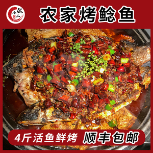 河南农家 烤鲶鱼火锅果木炭烤制美味半成品熟食真空新鲜 顺丰包邮