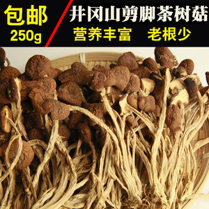 新货茶树菇干货茶薪菇不开伞剪脚食用菌无硫菌菇江西特产250g