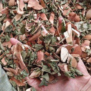 自然晒干中药材漆大姑1000g 毛果算盘子野南瓜漆大伯七大姑