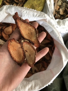 600人付款淘宝中草药材 咸酸根 入地龙 大叶酸味根