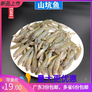 生鲜食品山坑鱼小鱼仔小龙鱼小河鱼冷冻冰鲜水产6份21省包邮